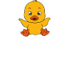 Funny duck Cute ducks