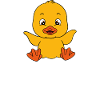 Funny duck Cute ducks