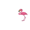 Funny flamingo