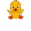 Funny duck Cute ducks