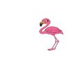 Funny flamingo