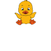 Funny duck Cute ducks