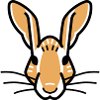 Waldfreunde Hase