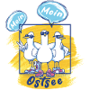 Ostsee - lustige Möwen-Gang