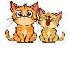 Geschwisterliebe Bro Katze Statement Großer Bruder