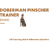 Doberman Pinscher Trainer Definiton