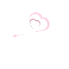 Bodensee Vibes - White Rose