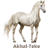 Akhal-Teké