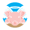 Angel Winged Piglet