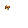 Panda avec papillon