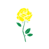 No Regrets Rose Backprint