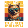 Miniature spitz with sunglasses retro