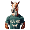 Hübrid