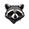 Waschbär