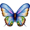 Butterfly Insect Animal Butterfly