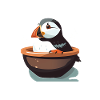 Puffin
