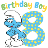 Birthday Boy 8th Birthday