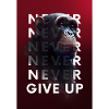 Apes Never Give Up