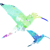 Colibri,Oiseau, Aquarelle, Peinture, Oiseaux
