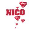 Gift for Nico