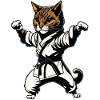 Karaté Chat - Kung-Fu Cat