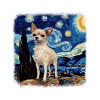 Chihuahua Van gogh starry night