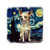 Chihuahua Van gogh starry night