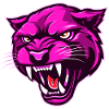Panther Head Pink