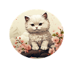 White kitten in Asia style