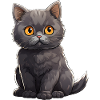 British Shorthair Cat