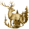 Hirsch