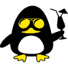 beach duck