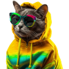 Cat with sunglasses