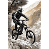 Mountain Bike II