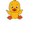 Funny duck Cute ducks