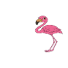 Funny flamingo