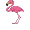 Funny flamingo