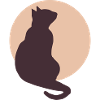 Mondkatze