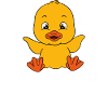 Funny duck Cute ducks