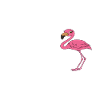 Funny flamingo