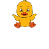 Funny duck Cute ducks