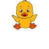 Funny duck Cute ducks