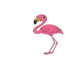 Funny flamingo