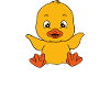 Funny duck Cute ducks