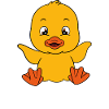 Funny duck Cute ducks