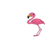 Funny flamingo