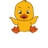 Funny duck Cute ducks
