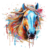 Pferd, Pferd