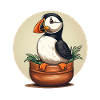 Puffin