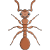 Hug an ant